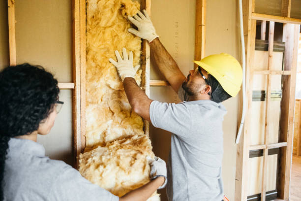 Best Basement Insulation  in Carbondale, CO